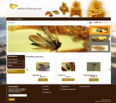 amber-inclusions.com