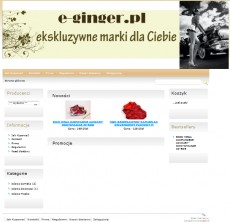 e-ginger.pl